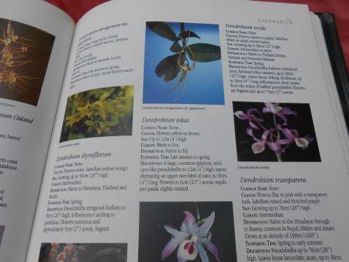 `Letts Guide to Orchids of the World`  Hard cover.