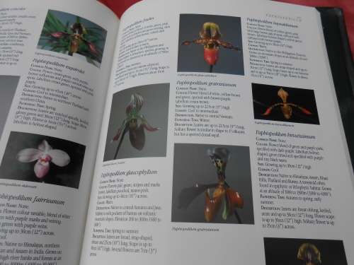 `Letts Guide to Orchids of the World`  Hard cover.
