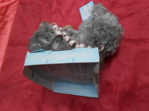 Me-to-you Teddy for an 13th birthday.