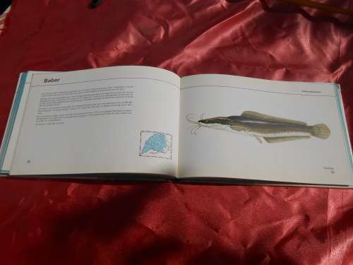 `Visse van Transvaal`  Pieter le Roux en Louis Steyn.  Afrikaans.  Hard cover.