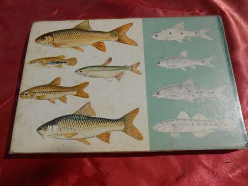 `Visse van Transvaal`  Pieter le Roux en Louis Steyn.  Afrikaans.  Hard cover.