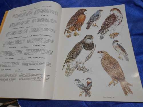 `Voels van die Kruger Wiltuin/Birds of the Kruger & Other National Park`  Vol. 2. Soft cover.