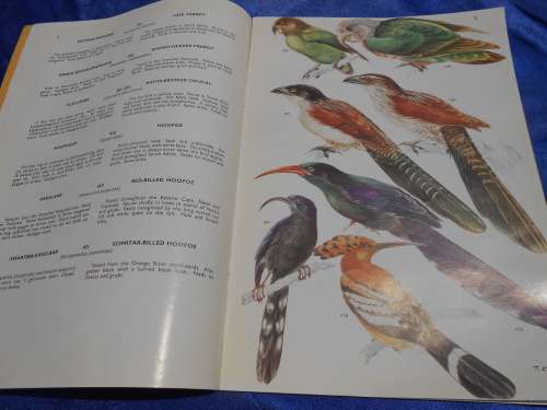 `Voels van die Kruger Wiltuin/Birds of the Kruger & Other National Park`  Vol. 2. Soft cover.