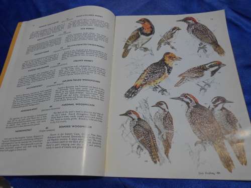 `Voels van die Kruger Wiltuin/Birds of the Kruger & Other National Park`  Vol. 2. Soft cover.