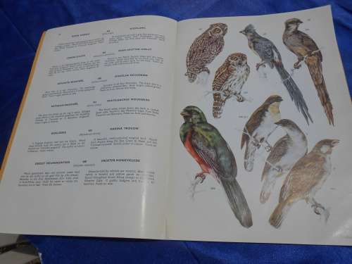 `Voels van die Kruger Wiltuin/Birds of the Kruger & Other National Park`  Vol. 2. Soft cover.