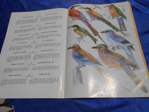 `Voels van die Kruger Wiltuin/Birds of the Kruger & Other National Park`  Vol. 2. Soft cover.