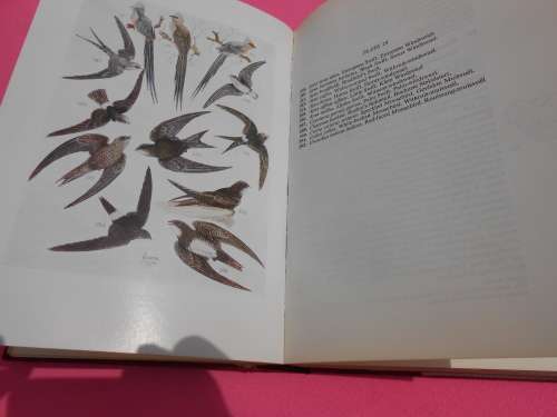 1975  `Roberts Birds of South Africa`  Hard cover.