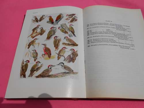 1975  `Roberts Birds of South Africa`  Hard cover.