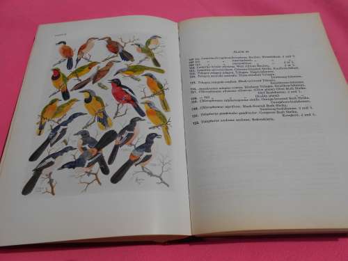 1975  `Roberts Birds of South Africa`  Hard cover.