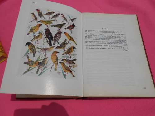 1975  `Roberts Birds of South Africa`  Hard cover.