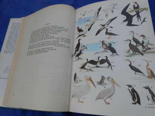 1978  `Roberts Birds of South Africa`  Hard cover.