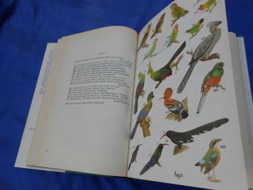 1978  `Roberts Birds of South Africa`  Hard cover.
