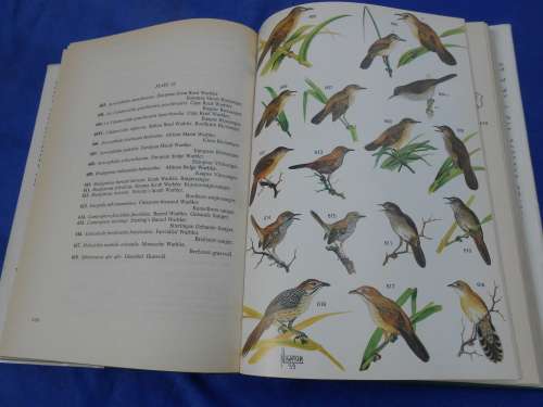 1978  `Roberts Birds of South Africa`  Hard cover.