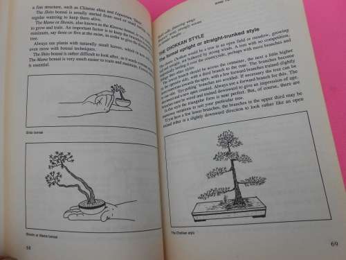 `Growing Bonsai in south Africa`  Doug Hall.  Soft cover.