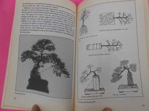 `Growing Bonsai in south Africa`  Doug Hall.  Soft cover.