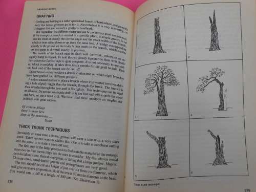 `Growing Bonsai in south Africa`  Doug Hall.  Soft cover.