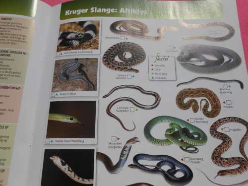 `Krugerwildtuin Kaart` 2de Uitgawe.  Afrikaans.  Soft cover