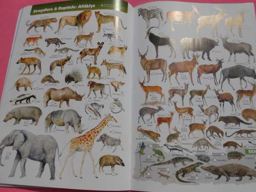 `Krugerwildtuin Kaart` 2de Uitgawe.  Afrikaans.  Soft cover