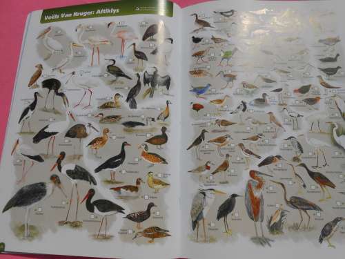 `Krugerwildtuin Kaart` 2de Uitgawe.  Afrikaans.  Soft cover