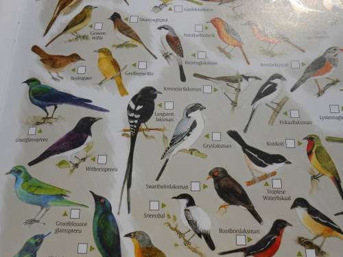 `Krugerwildtuin Kaart` 2de Uitgawe.  Afrikaans.  Soft cover