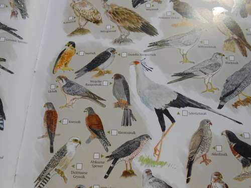 `Krugerwildtuin Kaart` 2de Uitgawe.  Afrikaans.  Soft cover