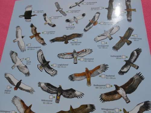 `Krugerwildtuin Kaart` 2de Uitgawe.  Afrikaans.  Soft cover