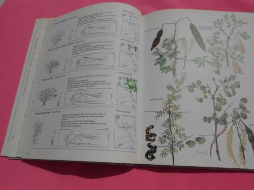 `Trees & Shrubs of the Witwatersrand`  Magaliesberg & Pilanesberg.  Hard cover.