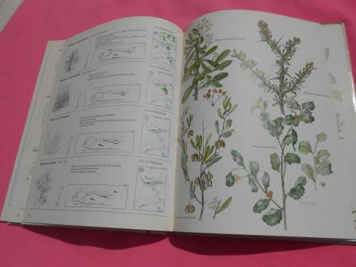 `Trees & Shrubs of the Witwatersrand`  Magaliesberg & Pilanesberg.  Hard cover.