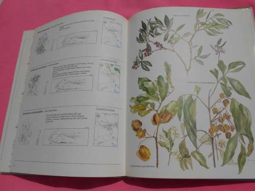 `Trees & Shrubs of the Witwatersrand`  Magaliesberg & Pilanesberg.  Hard cover.