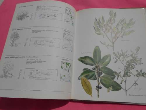 `Trees & Shrubs of the Witwatersrand`  Magaliesberg & Pilanesberg.  Hard cover.