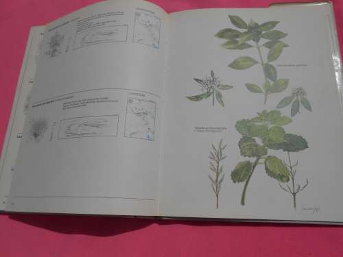 `Trees & Shrubs of the Witwatersrand`  Magaliesberg & Pilanesberg.  Hard cover.