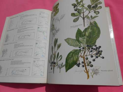 `Trees & Shrubs of the Witwatersrand`  Magaliesberg & Pilanesberg.  Hard cover.