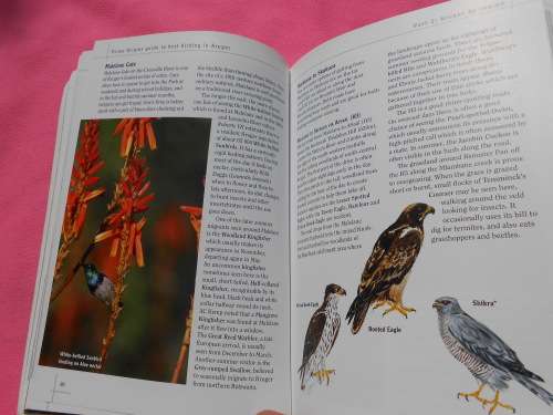 `Sasol Best Birding in Kruger and Vol. 3 Voels/Birds van die Krugerwildtuin en ander/Birds of Kruger