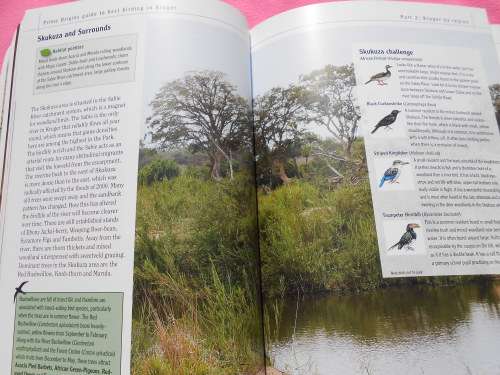 `Sasol Best Birding in Kruger and Vol. 3 Voels/Birds van die Krugerwildtuin en ander/Birds of Kruger