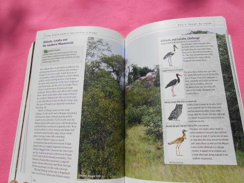 `Sasol Best Birding in Kruger and Vol. 3 Voels/Birds van die Krugerwildtuin en ander/Birds of Kruger