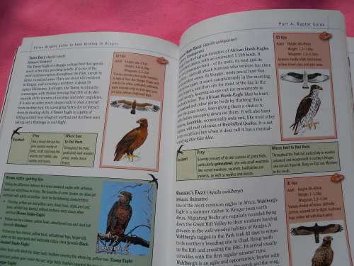 `Sasol Best Birding in Kruger and Vol. 3 Voels/Birds van die Krugerwildtuin en ander/Birds of Kruger