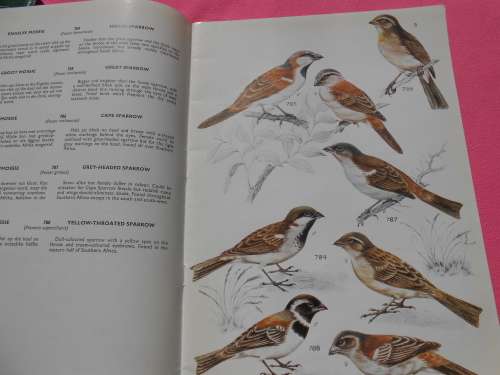 `Sasol Best Birding in Kruger and Vol. 3 Voels/Birds van die Krugerwildtuin en ander/Birds of Kruger