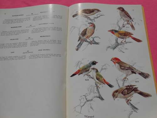 `Sasol Best Birding in Kruger and Vol. 3 Voels/Birds van die Krugerwildtuin en ander/Birds of Kruger