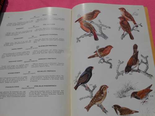 `Sasol Best Birding in Kruger and Vol. 3 Voels/Birds van die Krugerwildtuin en ander/Birds of Kruger