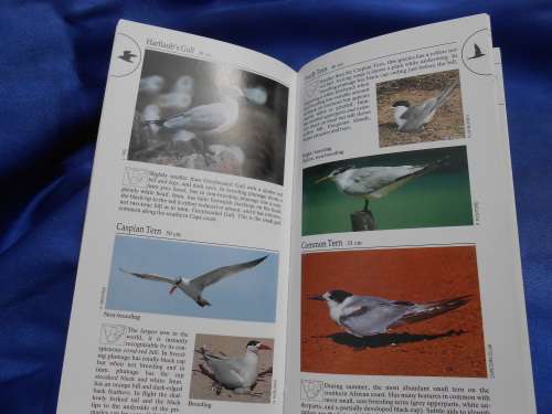 `Southern African Birds`  A Photographic Guide. Ian Sinclair. Soft cover.