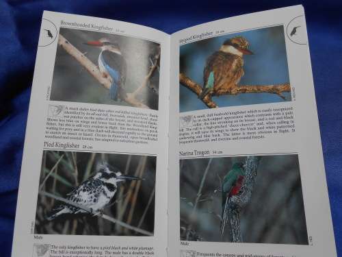 `Southern African Birds`  A Photographic Guide. Ian Sinclair. Soft cover.