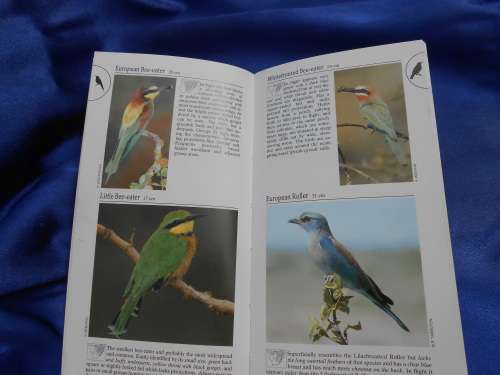 `Southern African Birds`  A Photographic Guide. Ian Sinclair. Soft cover.