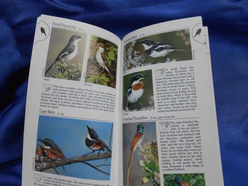 `Southern African Birds`  A Photographic Guide. Ian Sinclair. Soft cover.
