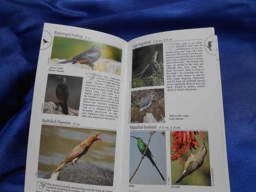`Southern African Birds`  A Photographic Guide. Ian Sinclair. Soft cover.