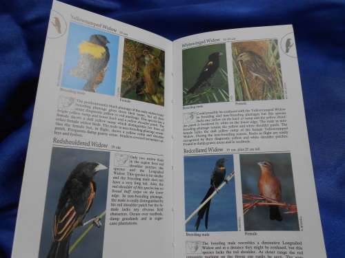 `Southern African Birds`  A Photographic Guide. Ian Sinclair. Soft cover.