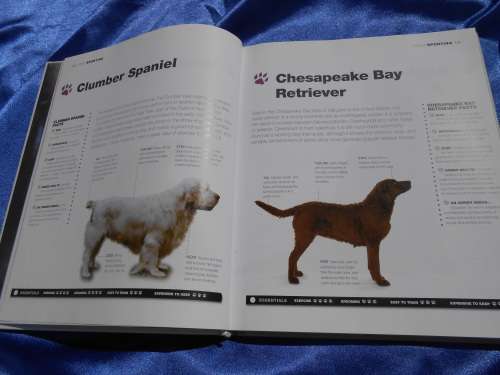 `Dogs`  From the extremely large to the very small.  Hard cover.