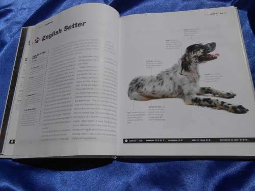 `Dogs`  From the extremely large to the very small.  Hard cover.