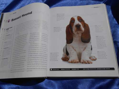`Dogs`  From the extremely large to the very small.  Hard cover.