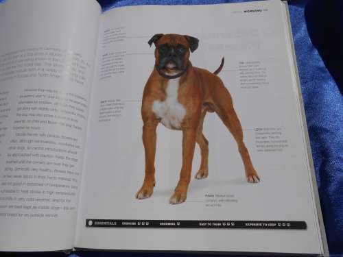 `Dogs`  From the extremely large to the very small.  Hard cover.