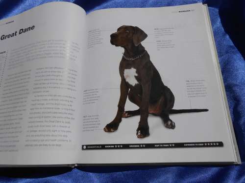 `Dogs`  From the extremely large to the very small.  Hard cover.